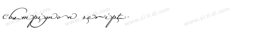 Champignon script字体转换